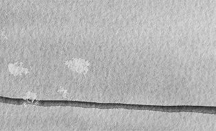 aquarell beige, graustufen